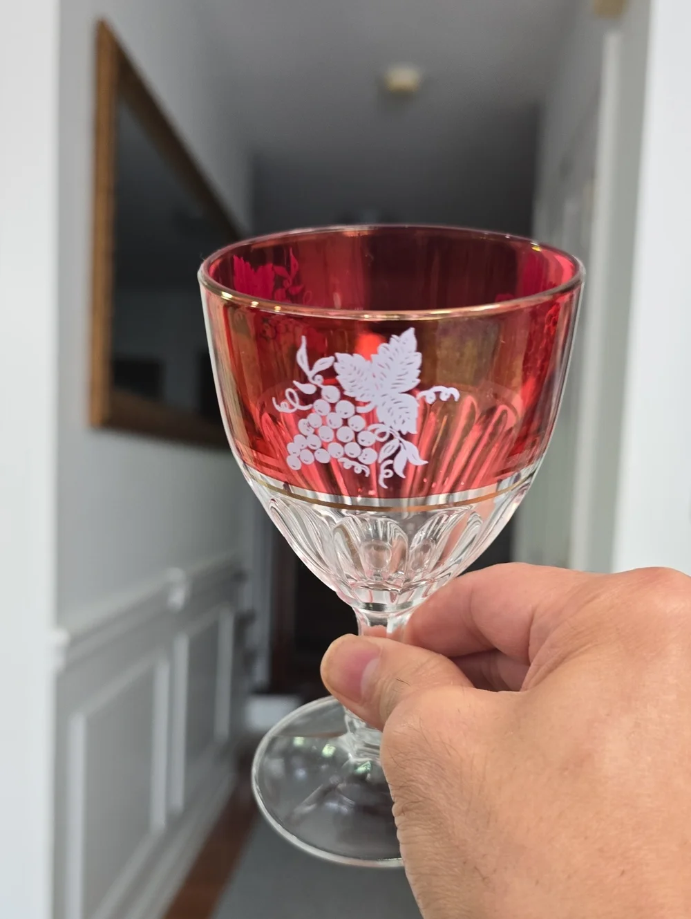 Vintage Lubiana Set Of 5 Italian Cranberry Wine Glasses Etched Grape Design